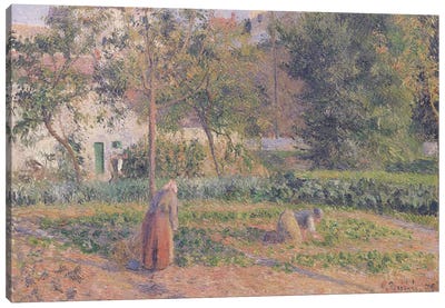 Vegetable Garden at the Hermitage, Pontoise, 1879  Canvas Art Print - Camille Pissarro