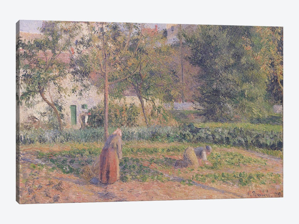 Vegetable Garden at the Hermitage, Pontoise, 1879  1-piece Art Print