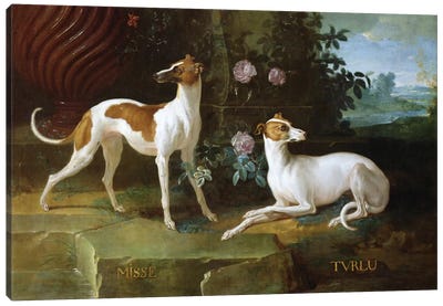 Misse And Turlu, Two Greyhounds Of Louis XV Canvas Art Print - Grandpa Chic