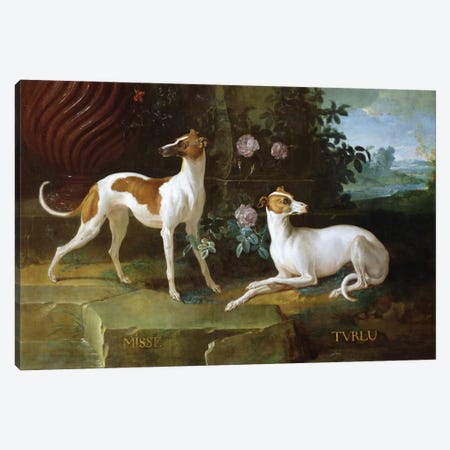 Misse And Turlu, Two Greyhounds Of Louis XV Canvas Print #BMN6388} by Jean-Baptiste Oudry Canvas Wall Art