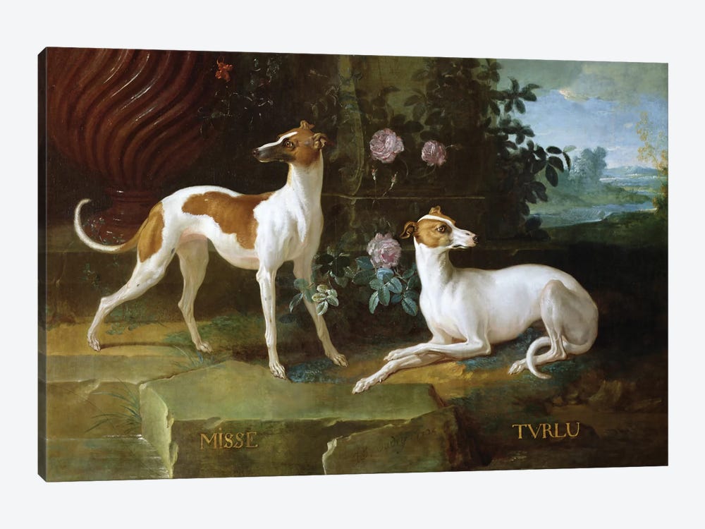 Misse And Turlu, Two Greyhounds Of Louis XV by Jean-Baptiste Oudry 1-piece Art Print
