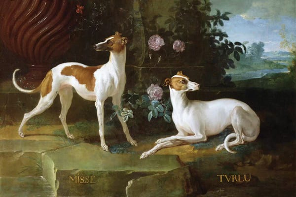 Grandpa Chic: Misse And Turlu, Two Greyhounds Of Louis XV by Jean-Baptiste Oudry