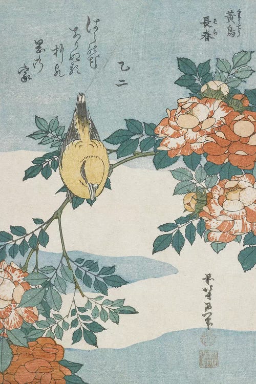 Black-Naped Oriole And China Rose, c.1833 by Katsushika Hokusai wall art