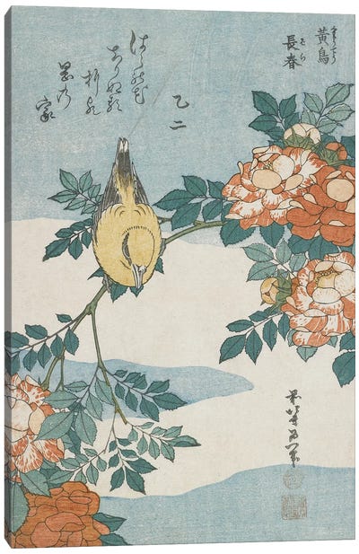 Black-Naped Oriole And China Rose, c.1833 Canvas Art Print - Katsushika Hokusai