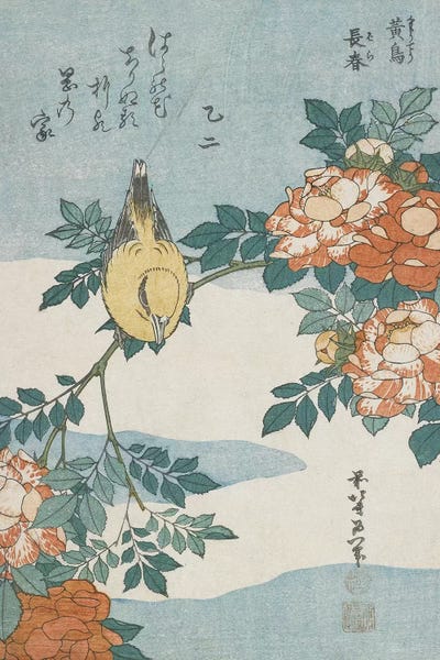 Ukiyo-e: Black-Naped Oriole And China Rose, c.1833 by Katsushika Hokusai
