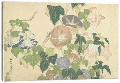 Frog And Morning Glories, c.1832 Canvas Art Print - Katsushika Hokusai