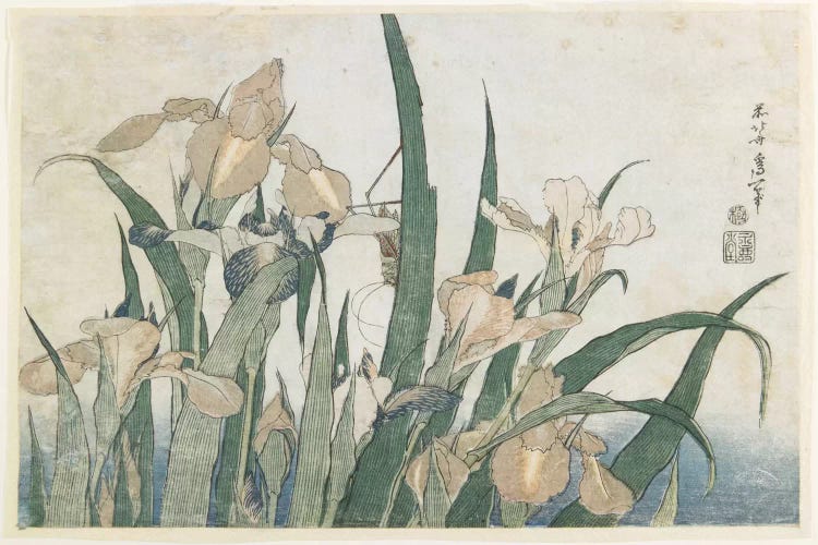 Iris Flowers And Grasshopper, c.1830-31