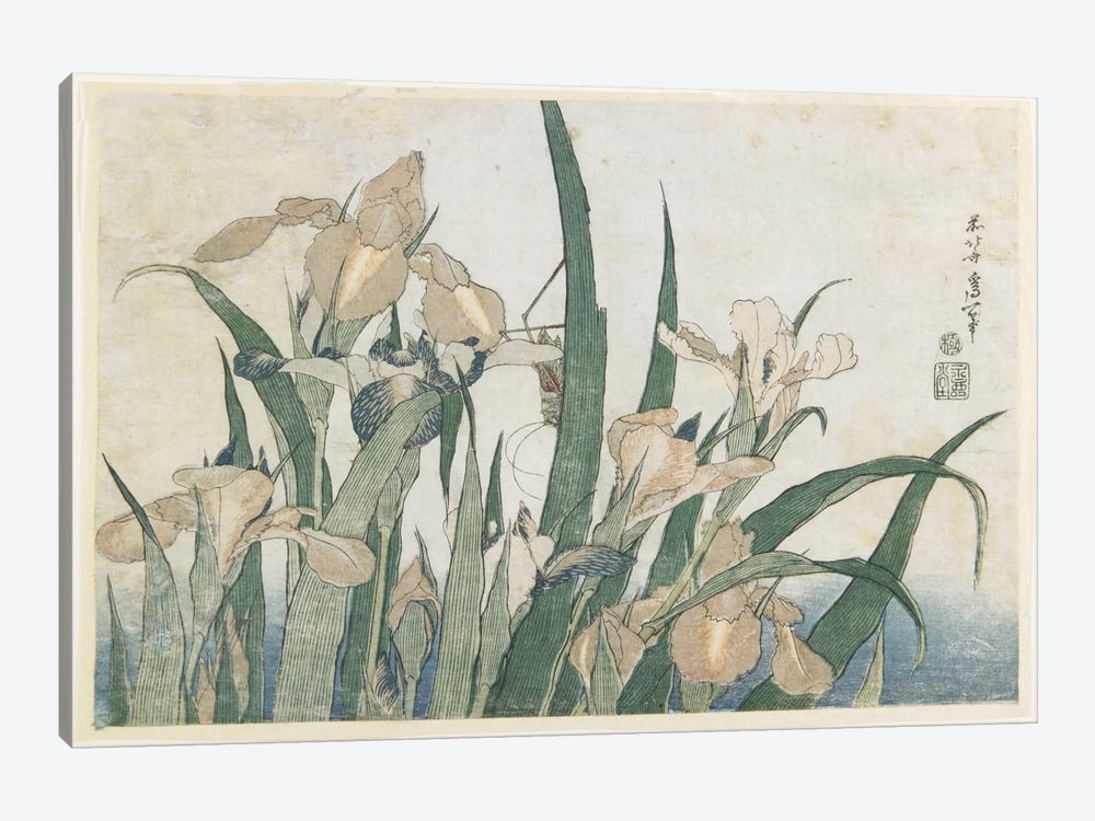 Iris Flowers And Grasshopper, c.1830-31 by Katsushika Hokusai 1-piece Canvas Art Print