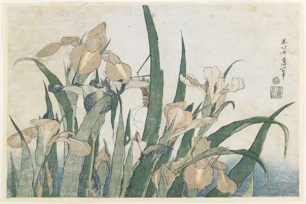 Katsushika Hokusai: Iris Flowers And Grasshopper, c.1830-31 by Katsushika Hokusai