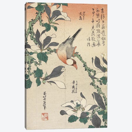 Java Sparrow And Magnolia Canvas Print #BMN6394} by Katsushika Hokusai Canvas Art