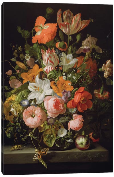 Still Life Of Roses, Lilies, Tulips And Other Flowers In a Glass Vase With A Brindled Beauty On A Stone Ledge Canvas Art Print - Rachel Ruysch