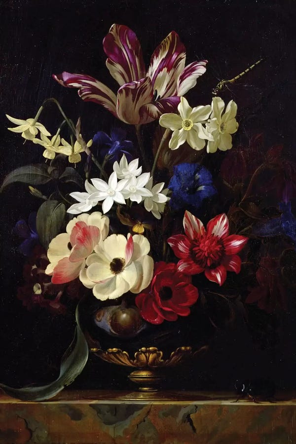 Willem van Aelst
