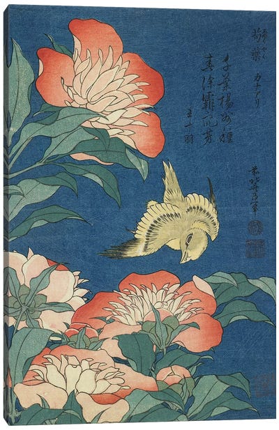 Peonies And Canary, c.1833 Canvas Art Print - Katsushika Hokusai