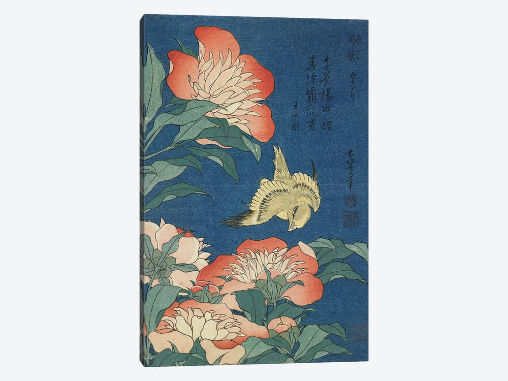 Peonies And Canary, c.1833 1-piece Canvas Artwork