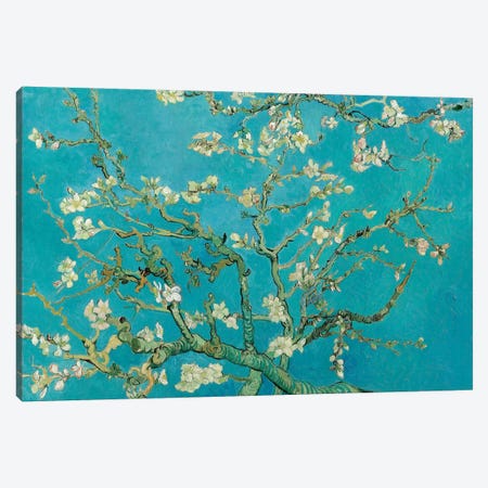 Almond Blossom, 1890 Canvas Print #BMN6428} by Vincent van Gogh Canvas Art Print