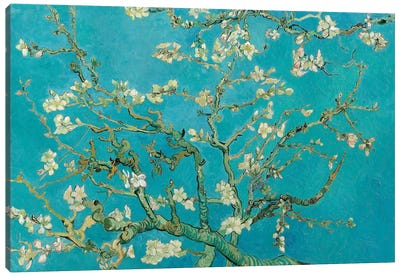 Almond Blossom, 1890 Canvas Art Print - Flower Art