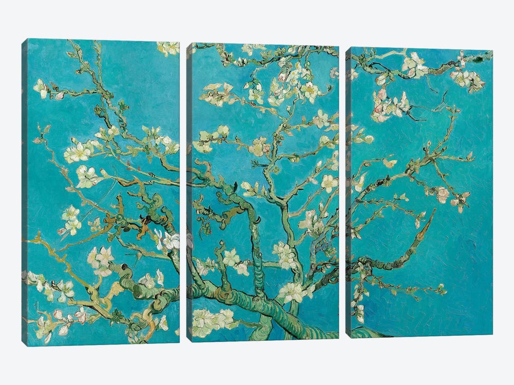 Almond Blossom, 1890 by Vincent van Gogh 3-piece Canvas Wall Art