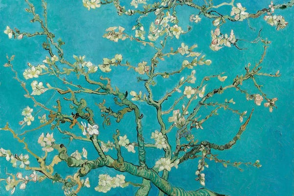 Floral & Botanical: Almond Blossom, 1890 by Vincent van Gogh