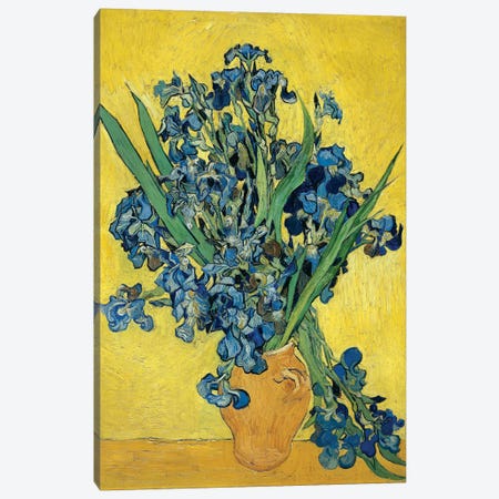 Irises, 1890 Canvas Print #BMN6430} by Vincent van Gogh Canvas Wall Art