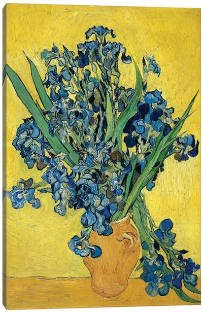 Irises, 1890 Canvas Art Print - Vincent van Gogh