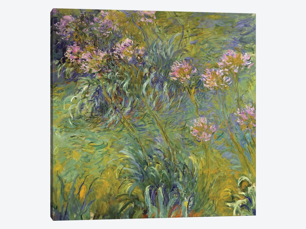 Agapanthus, 1914-26 by Claude Monet 1-piece Canvas Art Print
