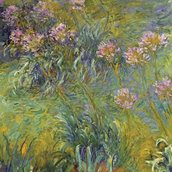Tranquil Gardens: Agapanthus, 1914-26 by Claude Monet