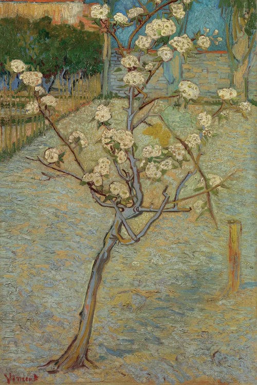 Small Pear Tree In Blossom, 1888