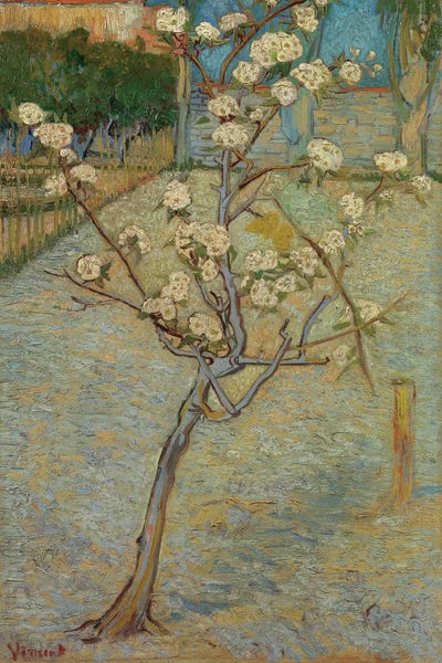 Spring: Small Pear Tree In Blossom, 1888 by Vincent van Gogh