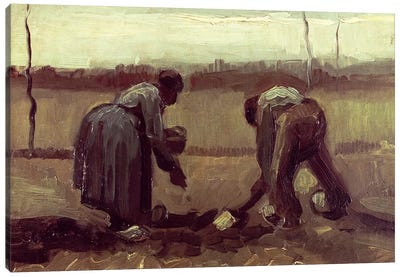 Two Peasants Planting Potatoes, 1885 Canvas Art Print - Vincent van Gogh