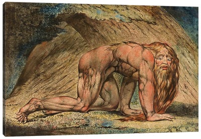 Nebuchadnezzar, 1795 (Minneapolis Institute Of Art) Canvas Art Print