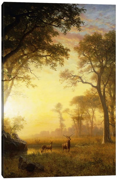Light In The Forest Canvas Art Print - Albert Bierstadt