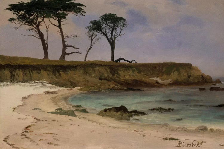 Sea Cove, c.1880-90