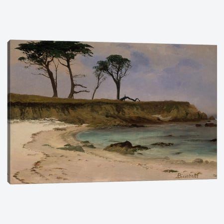 Sea Cove, c.1880-90 Canvas Print #BMN6547} by Albert Bierstadt Canvas Art Print