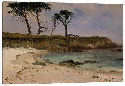 Sea Cove, c.1880-90 Canvas Art Print - Albert Bierstadt