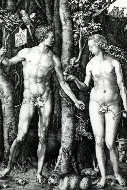 Adam And Eve, 1504