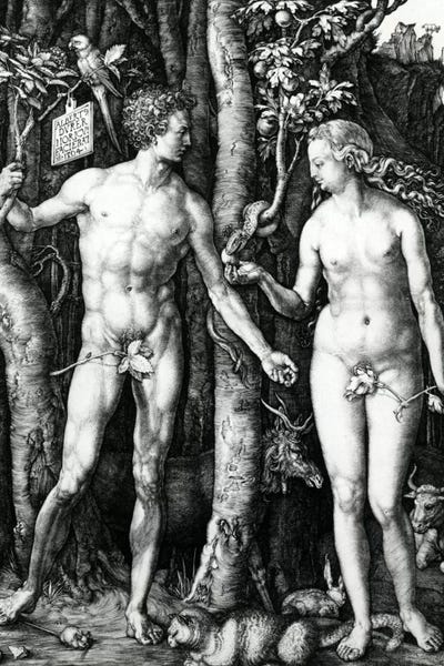 Renaissance: Adam And Eve, 1504 by Albrecht Dürer