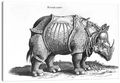 Rhinoceros Canvas Art Print - Renaissance Art