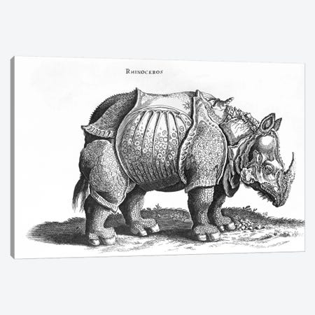 Rhinoceros Canvas Print #BMN6563} by Albrecht Dürer Canvas Art
