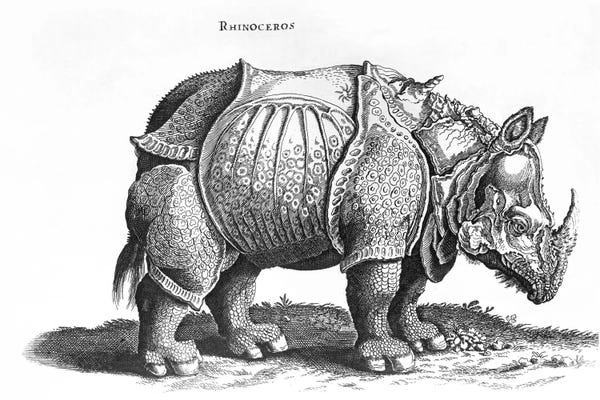 Albrecht Dürer: Rhinoceros by Albrecht Dürer