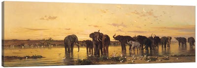 African Elephants  Canvas Art Print