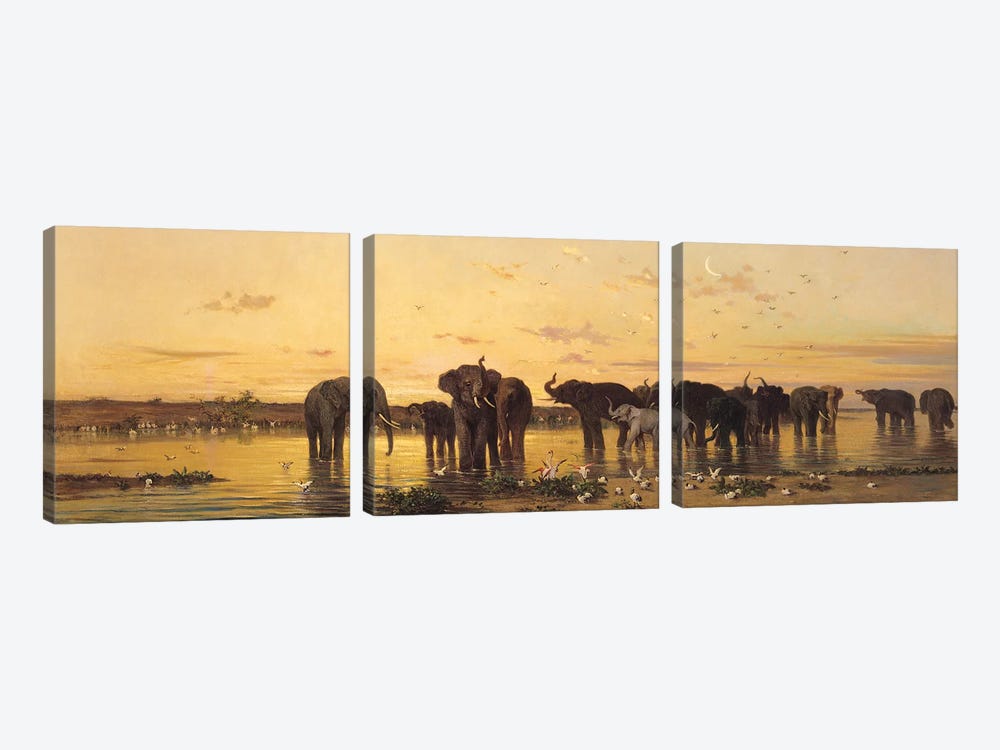 African Elephants  by Charles Emile de Tournemine 3-piece Canvas Art