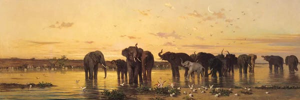 Elephants: African Elephants  by Charles Emile de Tournemine