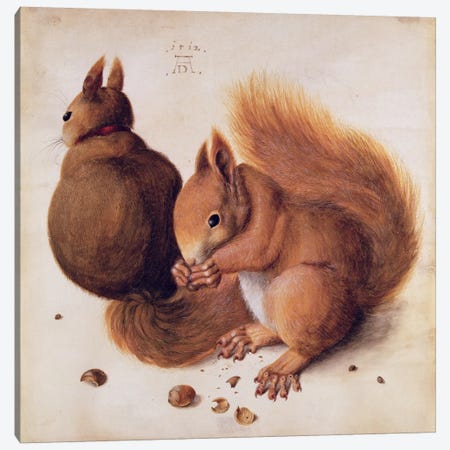 Squirrels, 1512 Canvas Print #BMN6582} by Albrecht Dürer Canvas Art