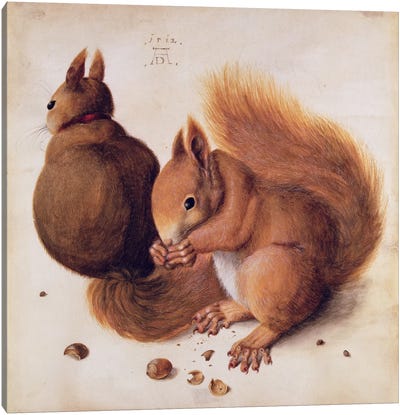 Squirrels, 1512 Canvas Art Print - Albrecht Durer
