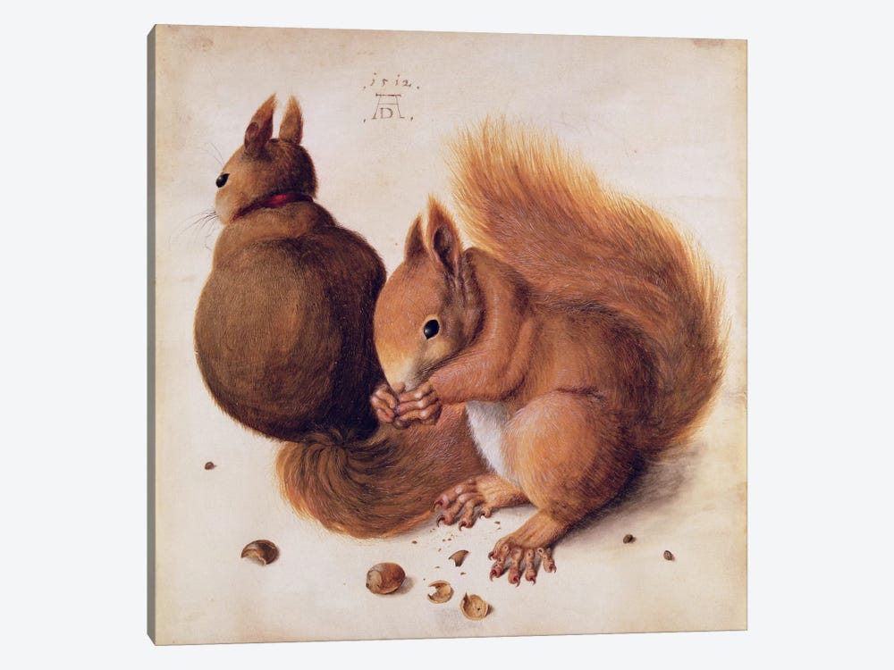 Squirrels, 1512 by Albrecht Dürer 1-piece Canvas Print