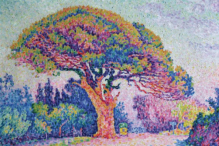 The Pine Tree at St. Tropez, 1909  by Paul Signac wall art