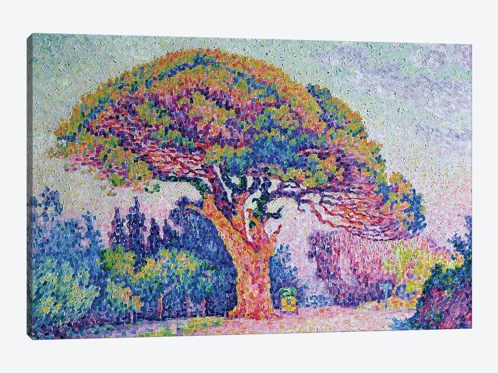 The Pine Tree at St. Tropez, 1909  by Paul Signac 1-piece Canvas Print