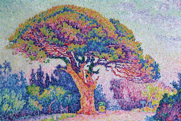 Post-Impressionism: The Pine Tree at St. Tropez, 1909  by Paul Signac