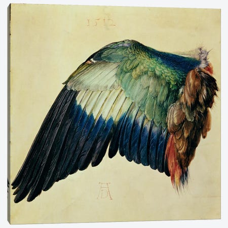 Wing Of A Blue Roller, 1512 Canvas Print #BMN6607} by Albrecht Dürer Canvas Wall Art