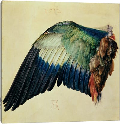 Wing Of A Blue Roller, 1512 Canvas Art Print - Albrecht Durer